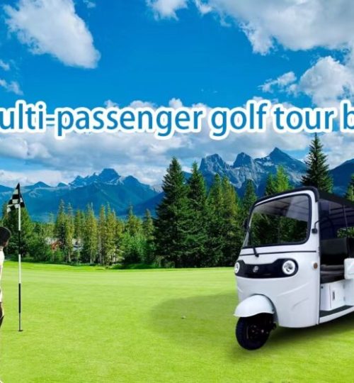 whatsapp image 2025 08 10 at 1.13.37 pm1 768x557